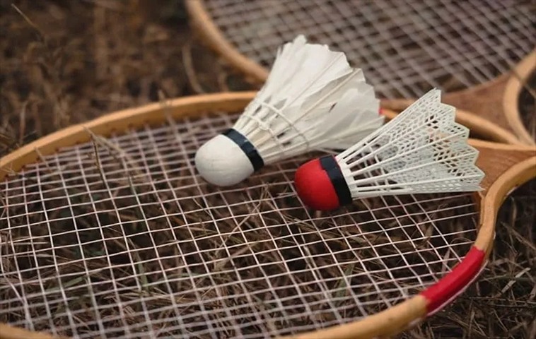 Cách Chơi Cá Cược Cầu Lông Tại Letou Đơn Giản Và Hiệu Quả 2 Cách Chơi Cá Cược Cầu Lông Tại Letou Đơn Giản Và Hiệu Quả