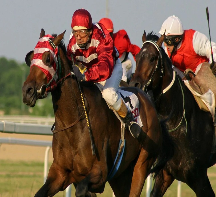 Cá Cược Đua Ngựa Tại Letou: Bí Kíp Chơi Từ A Đến Z 2 Cá Cược Đua Ngựa Letou: Bí Kíp Chơi Từ A Đến Z