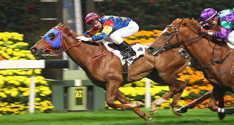 Cá Cược Đua Ngựa Tại Letou: Bí Kíp Chơi Từ A Đến Z 3 Cá Cược Đua Ngựa Letou: Bí Kíp Chơi Từ A Đến Z