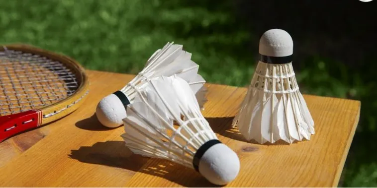 Hướng Dẫn Cách Chơi Cá Cược Cầu Lông Tại Vin777 Mới Nhất 2 Hướng Dẫn Cách Chơi Cá Cược Cầu Lông Tại 79SODO Mới Nhất